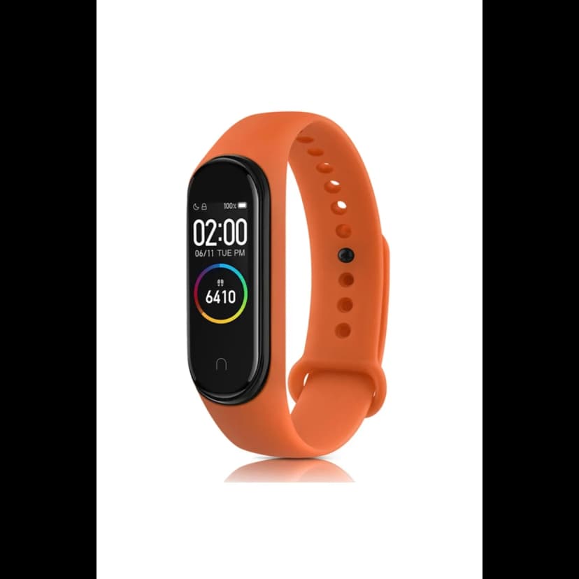 Newface Xiaomi Mi Band 4 Klasik Kordon