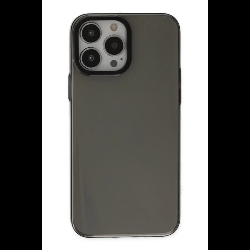 Newface Apple iPhone 13 Pro Max Kılıf Anka PC Sert Metal Kapak - Siyah